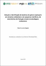 Miniatura