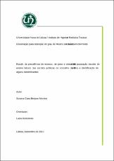 Miniatura